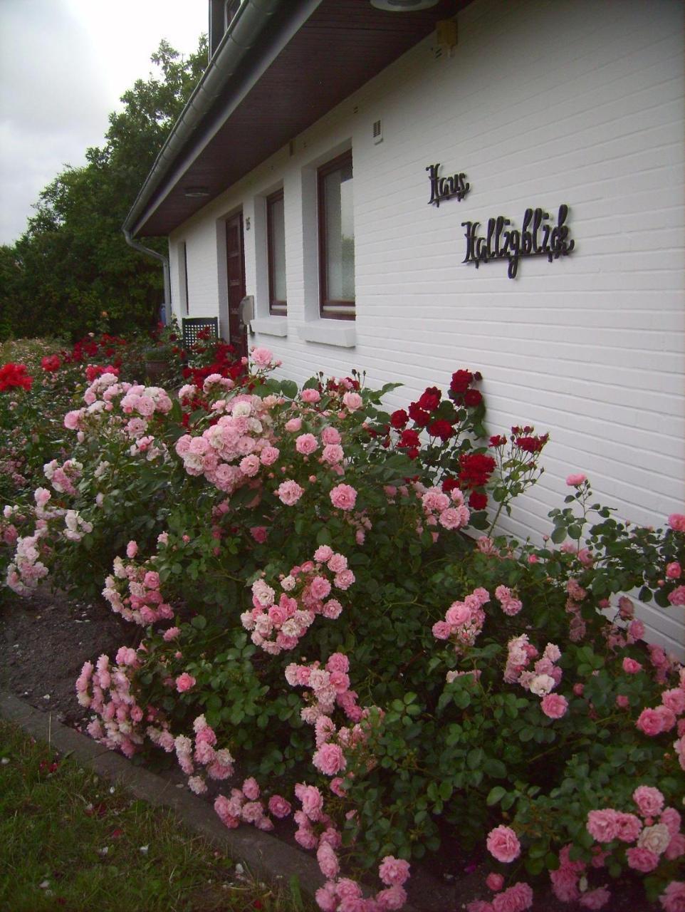 Haus-Halligblick-Ferienwohnung-Hamburger-Hallig Dagebüll Exterior foto
